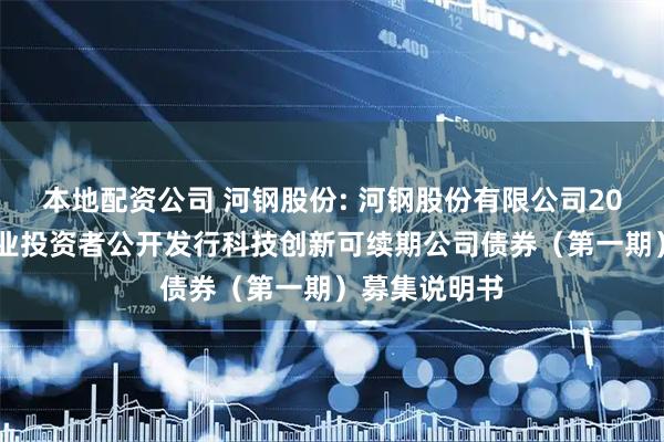 本地配资公司 河钢股份: 河钢股份有限公司2025年面向专业投资者公开发行科技创新可续期公司债券（第一期）募集说明书