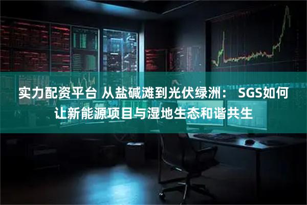 实力配资平台 从盐碱滩到光伏绿洲： SGS如何让新能源项目与湿地生态和谐共生